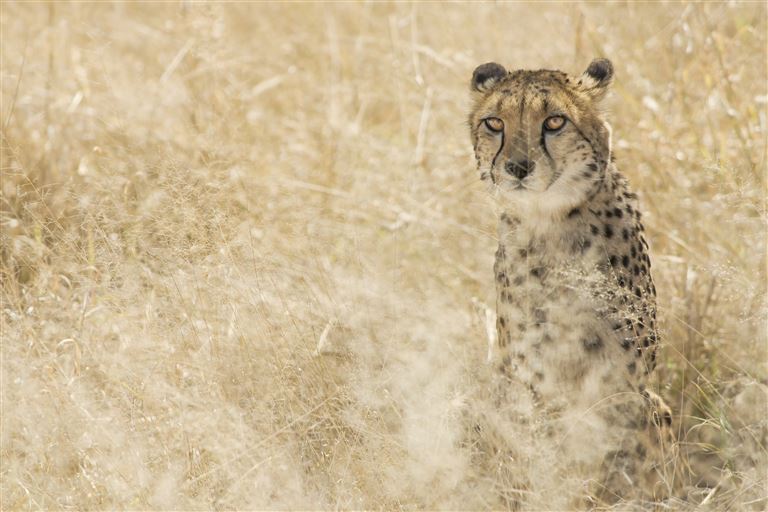 Magisches Namibia ©wanderluster/istock